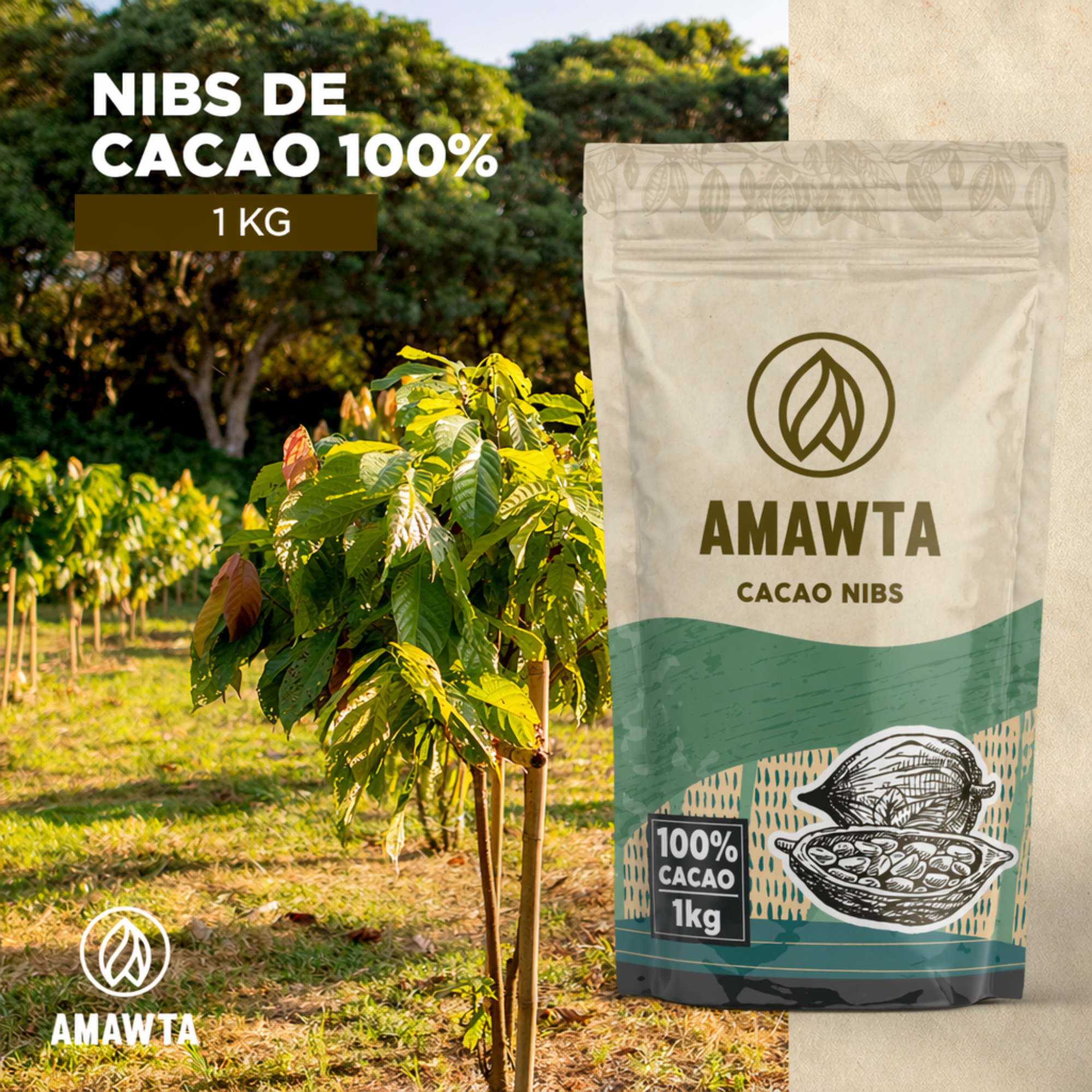 Nibs de Cacao